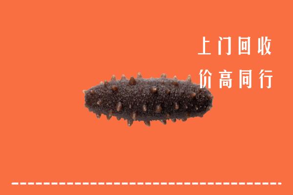 高价求购：阜阳市颍东回收海参