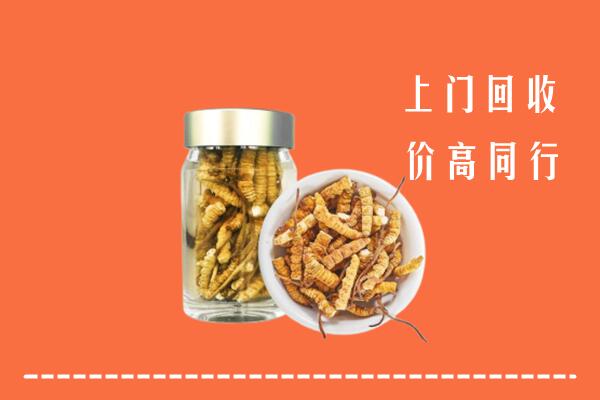 收购行情：阜阳市颍东回收冬虫夏草